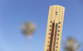 Sebanyak 41 persen wilayah Eropa Selatan mengalami heat stress yang kuat.