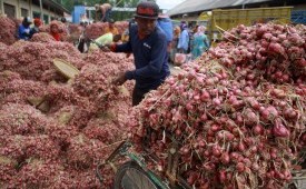 (ILUSTRASI) Pedagang menurunkan bawang merah di pasar wilayah Probolinggo, Jawa Timur.