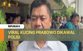 Penjelasan Setneg soal Viral Pengawalan Bobby, Kucing Presiden