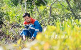 Program Hutan Lestari yang dijalankan Pertamina telah menanam lebih dari delapan juta pohon produktif dan mangrove serta telah membina masyarakat sekitar melalui integrasi antara reforestasi, pemberdayaan ekonomi, dan edukasi generasi muda.