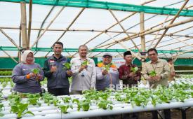 Rumah Zakat dan Lokadesa secara resmi meluncurkan Program Tani Berdaya di Lembang, Kabupaten Bandung Barat. 