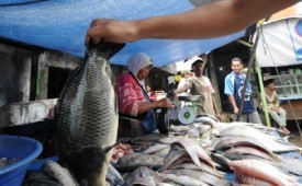 Suasana di pasar ikan (ilustrasi)