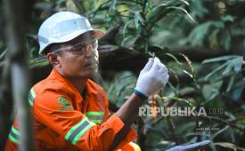 Weda Bay Nickel (WBN)