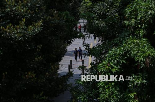 Pohon, Karbon dan Udara Jakarta