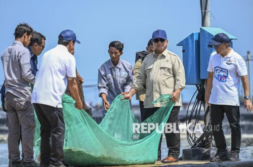 Momen Presiden Prabowo Hadiri Panen Raya Udang di Kebumen