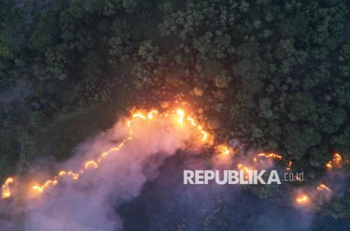 Karhutla di Enam Provinsi Prioritas Hanguskan 48.889 Hektare Lahan