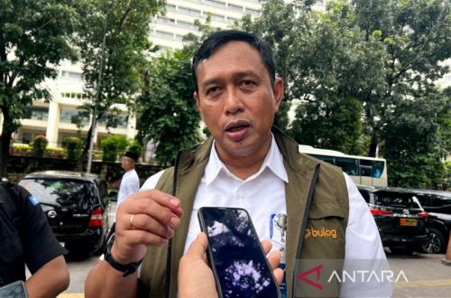 Bulog Siap Ekspor 1 Juta Ton Beras ke Asia Tenggara pada 2026