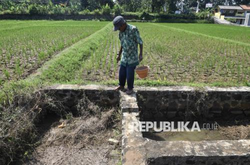 Petani Andalkan Pompa Air hingga Tangki Air Hadapi Ancaman Kekeringan