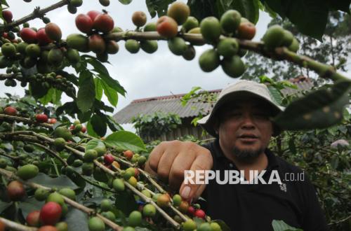 Bukan Hanya Harga, Ini Faktor yang Tentukan Daya Saing Komoditas RI