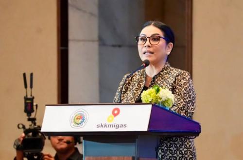 INSA dan SKK Migas Selaraskan Proyeksi Kebutuhan Kapal Lepas Pantai Demi Target Produksi 2030