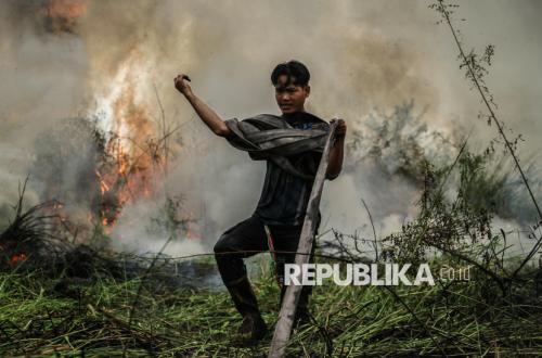 Karhutla Ancam Palangka Raya, Petugas Berjibaku Jinakkan Api di Lahan Gambut