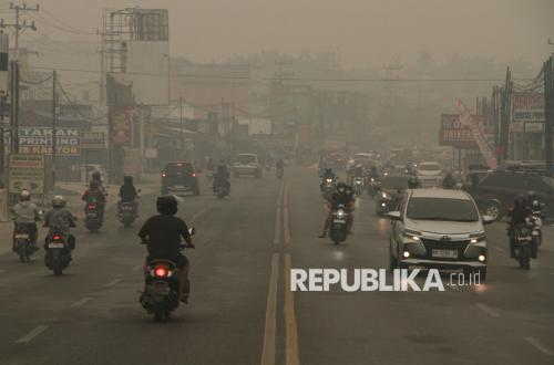 Studi: Asap Kebakaran Hutan Lebih Beracun Dibandingkan Polusi Udara Lainnya