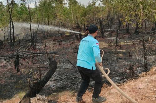 BNPB: 5,3 Hektare Lahan di Banjar Terbakar, Tim Gabungan Masih Berjibaku Padamkan Api