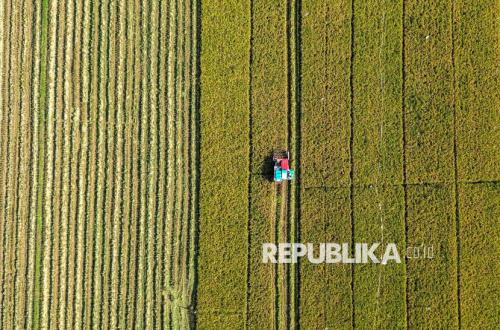 Luas Panen Padi Indonesia Hingga September 2026 Capai 9,46 Juta Hektare