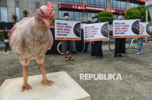 Aktivis Hewan Tolak Pendanaan Peternakan Intensif