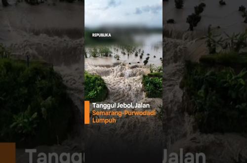 Tanggul Sungai Tuntang Jebol