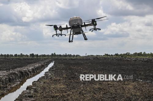 Kendala Meraih Swasembada Beras Berkelanjutan