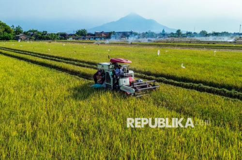 1.308 Hektare Sawah Rusak Akibat Banjir, Aceh Barat Percepat Pemulihan
