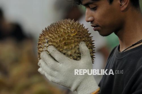Rahasia Durian Indonesia Rebut Pasar China Rp137 Triliun Terbongkar