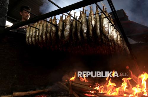Kabar Baik untuk Ekspor RI, Jepang Hapus Tarif Tuna dan Cakalang Indonesia