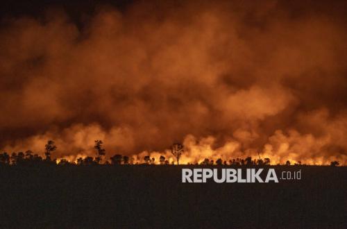 Hadapi Kemarau, Perhutani KPH Indramayu Sisir Titik Rawan Karhutla