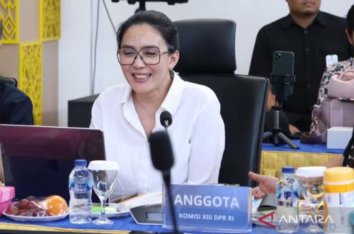 DPR Desak Percepatan Reformasi Hukum Tata Kelola TPPO di NTT
