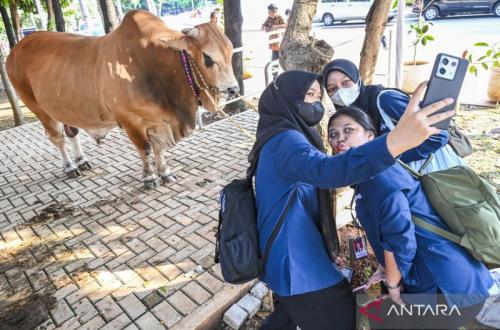 Menag: Idul Adha Momentum Saling Berbagi dan Kebersamaan