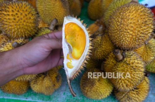 Durian Musang King Ditanam Massal, Disiapkan Jadi Investasi Ekonomi Warga