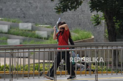 Riset Ungkap Pohon tak Lagi Efektif Sejukkan Banyak Kota di Dunia