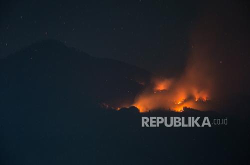 Carhutla Hunderte von Hektar auf dem Mount Lawu werden der Aktivität von Arang verdächtigt