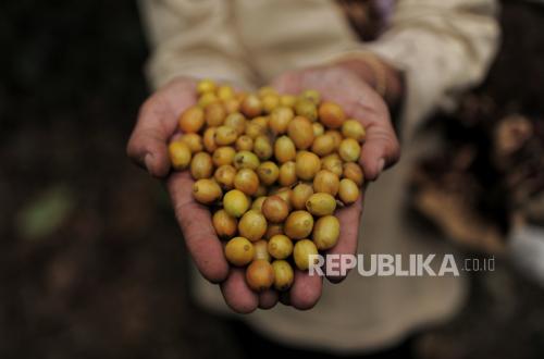 Perjanjian RI–AS Bisa Berubah, Indonesia Minta Tarif Ekspor Unggulan Tetap Nol Persen