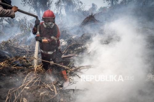 Melawan Api dan Asap, Perjuangan Petugas Padamkan Karhutla Riau