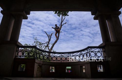 CELIOS Usul Pajak Kekayaan, Bisa Biayai 180 Juta PBI BPJS hingga Gratiskan KRL