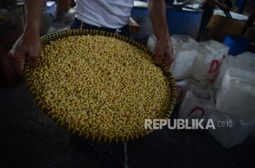 Kemenkop Dorong Rantai Pasok Tempe dan Tahu Diperkuat