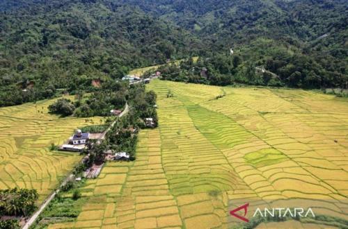 Masyarakat Nagan Raya Tolak Tambang Emas di Beutong Ateuh