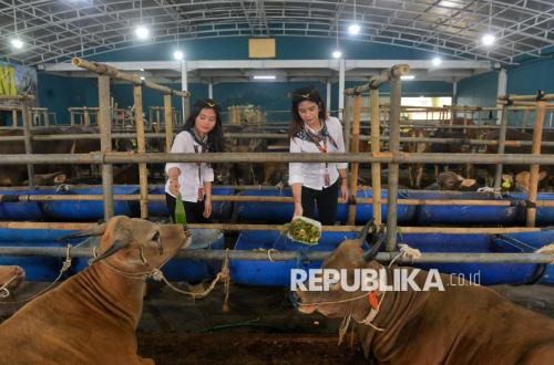 Kurban dan Daya Tahan Sosial Umat
