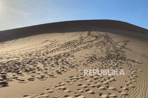 Beda Derajat antara Muslim yang Jihad dan tidak Ikut Berjuang