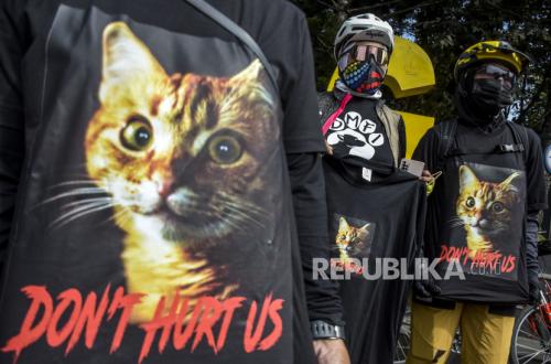 Kucing Kesayangan Tewas Ditendang, Pemilik Tempuh Jalur Hukum