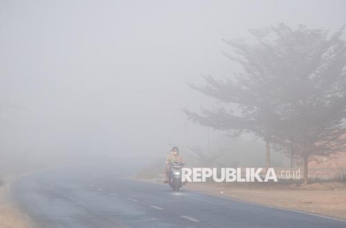 Menata Kembali Tata Kelola untuk Mencegah Karhutla