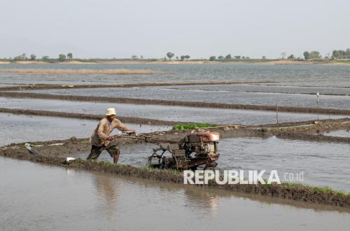 Jangan Meminggirkan Petani dari Pentas Pembangunan