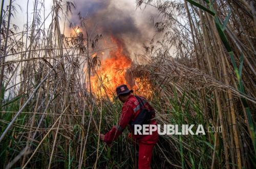 Petugas Berjibaku Padamkan Kebakaran Lahan di Ogan Ilir