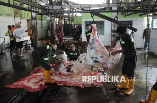 Presiden Salurkan 1.098 Sapi Qurban, DPR Tegaskan Sesuai Fungsi APBN