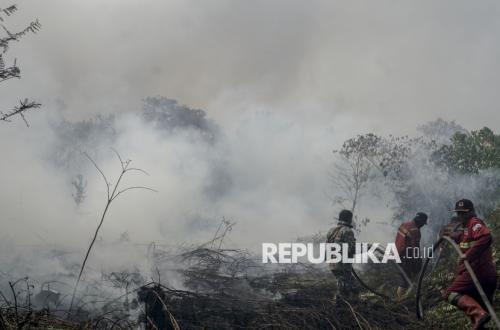 BNPB Minta Malaysia-Singapura tak Saling Menyalahkan soal Asap Karhutla di Kalimantan