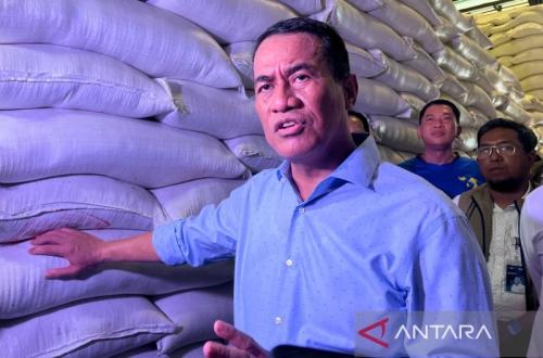 Pemerintah Perkuat Intervensi untuk Jaga Stabilitas Harga Pangan