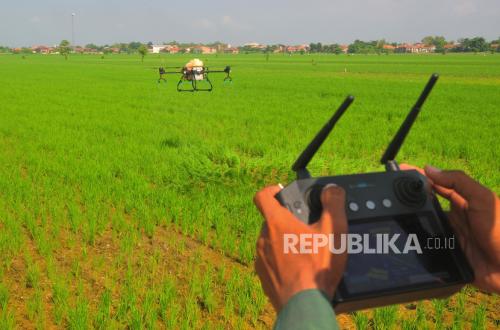 Drone Terbang, Padi Melesat! Rembang Gaspol Modernisasi, Panen 2026 Diprediksi Meledak