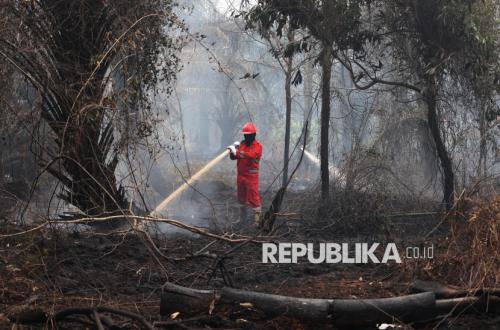 NASA Ungkap Penyebab Karhutla di Indonesia Sulit Dipadamkan