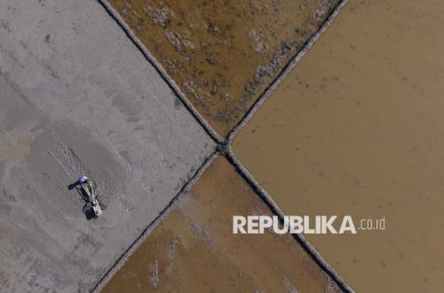 151 Hektare Sawah Terdampak Banjir di Kendari Mulai Digarap Kembali