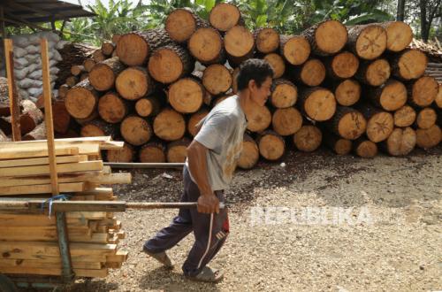 Pemerintah Jamin Produk Kehutanan RI Legal dan Berkelanjutan