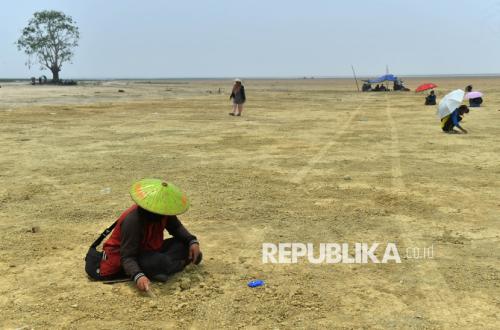 Berharap Butiran Emas dari Danau yang Mengering