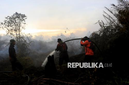 Kemenhut Minta Pemegang PBPH Siagakan Personel Cegah Karhutla